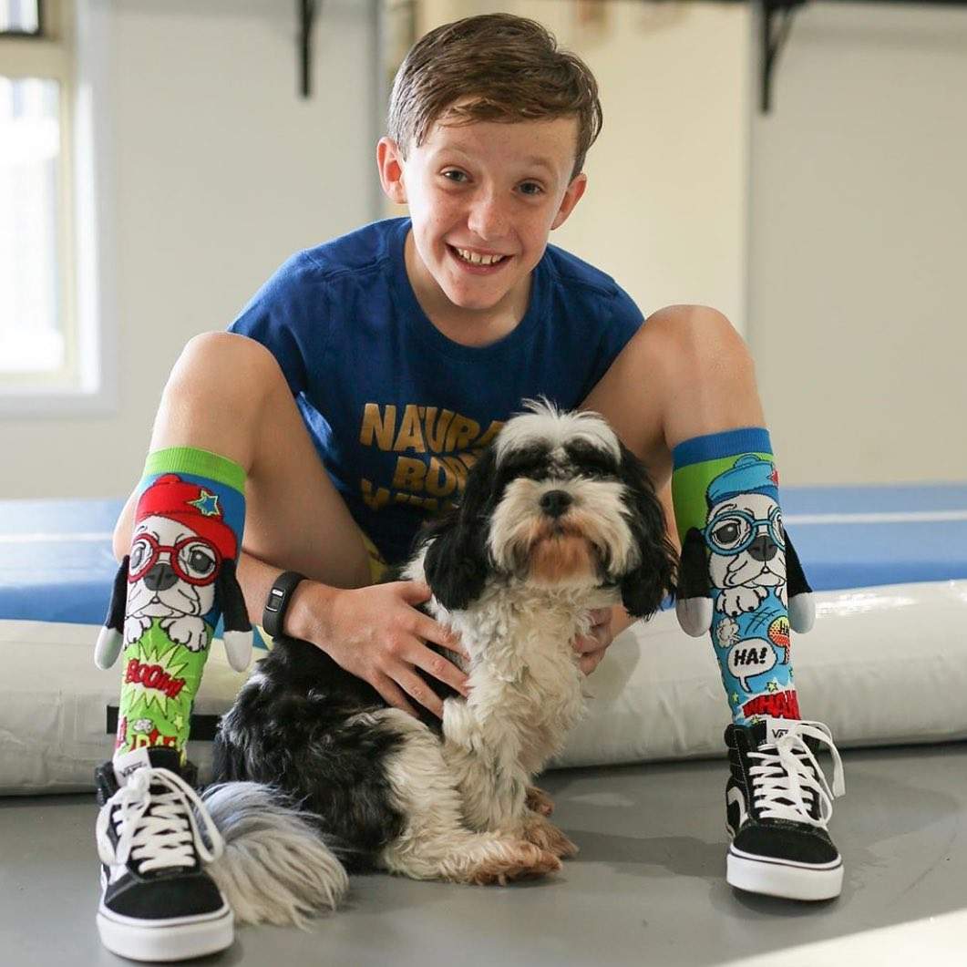 DOG SOCKS